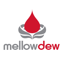 Mellow_Dew_2